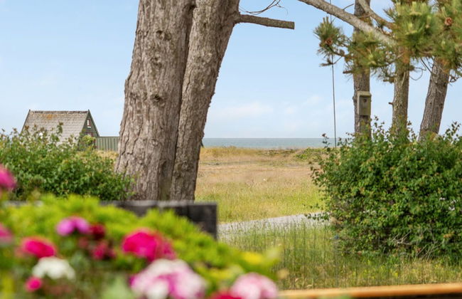 "Eivi" - 150m from the sea - Foto 30