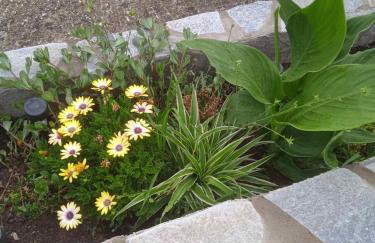 Bee Hive's Country House - Foto 25