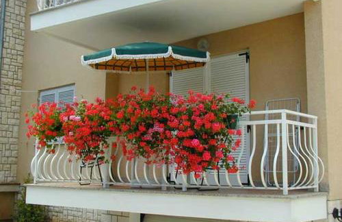 Ika Blue Studio - Photo 21