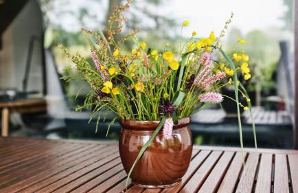 Ferienhaus Drebach - Foto 81