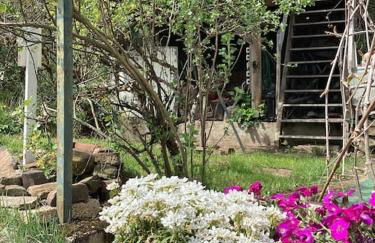 Eyes Ferienhaus im Nationalpark Eifel - Foto 16