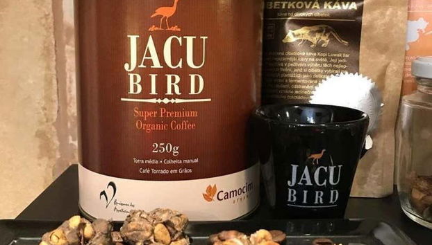 O exótico café Jacu