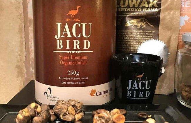 Excursão a Domingos Martins - Foto 3