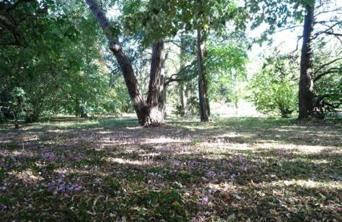 Le Petit Logis - Foto 10