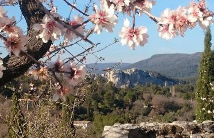 Mas climatise, piscine chauffee privee - parc regional naturel st baume - Foto 24