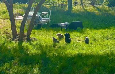 Villa au cœur de la Provence en pleine nature plage a 30 kilometres - Foto 43