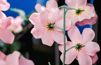 Casa Mox 5 habitaciones con calefacción y parking en la Sierra de las Nieves - Foto 42