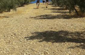 Molino Mairena - Foto 25