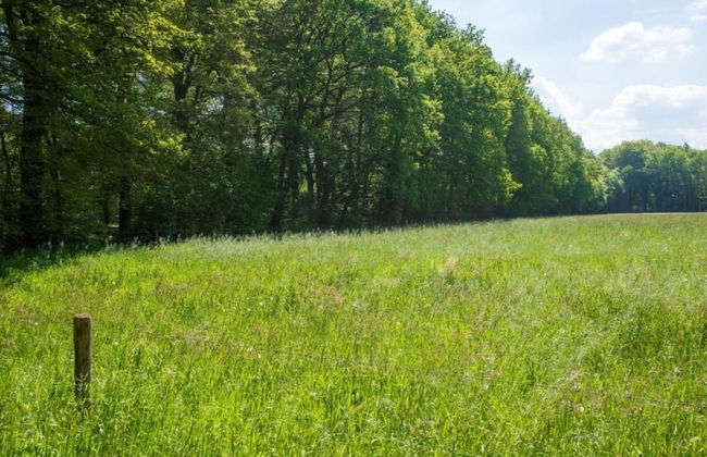 Family Villa in Ferrieres - Foto 29