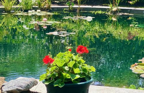 Fuchsia Cottage - Foto 55