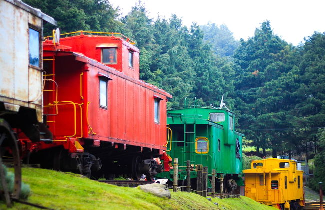 Los Vagones Cabañas Restaurante Bar - Photo 2