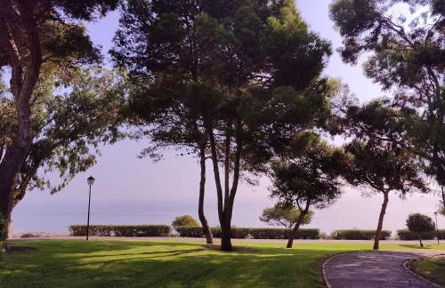 Gran Vista - Photo 21