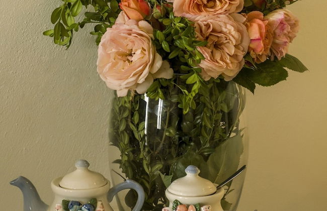 Gems of Zagora - Foto 33