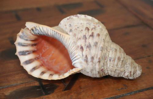 Artemis Suites - Foto 69