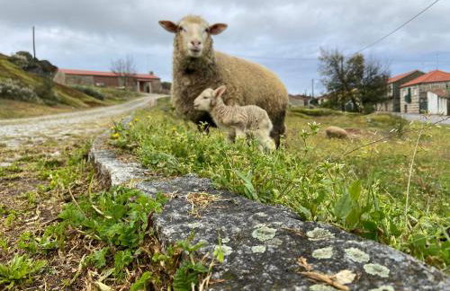 Casa da Ti Mília - Foto 33