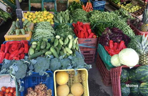 UTOPIA RESIDENCES Gaia House - Photo 47