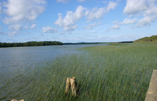 Smołdziński Las - Foto 13