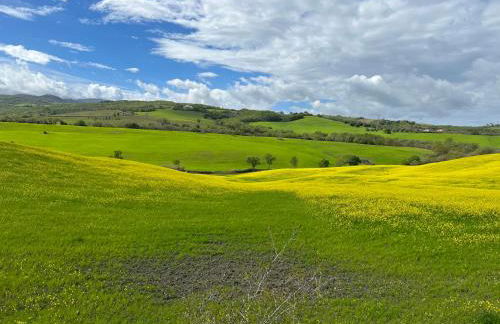 Villa Podere Vista Verde - Foto 60
