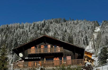 Charming, cosy chalet nestled in a breathtaking surrounding with spectacular, stunning mountain views - Foto 1