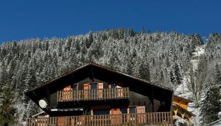 Charming, cosy chalet nestled in a breathtaking surrounding with spectacular, stunning mountain views - Photo 1