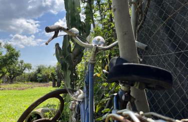 El Secanet - Foto 18