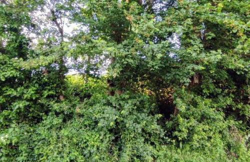 2Bedroom Comfy & Cosy family loving Home - Foto 58