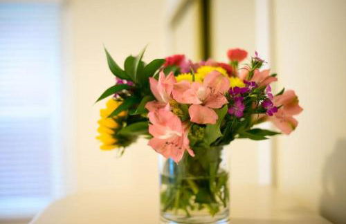 The Boston Rental - Multiple Floorplans - Foto 39