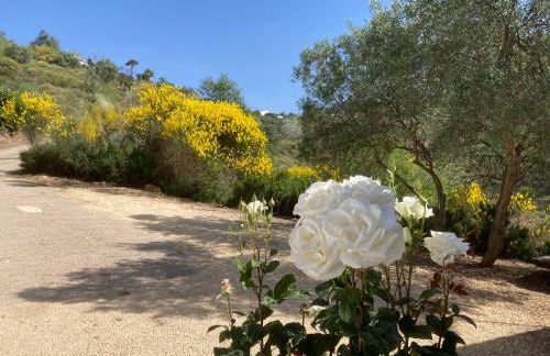 Casa Siempre feliz - Foto 23