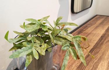 Sodi Cozy apartment - Foto 19