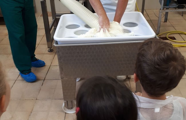 Poggiovalle Tenuta Italiana - Foto 34