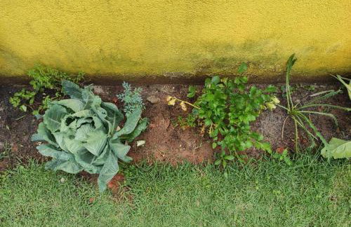 Cabo Frio, Piscina de frente pro Mar, Pé na areia - Foto 49