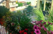 VALERIA'S HOUSE - Foto 8