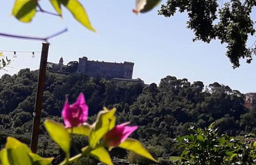 La Cerasa - il Lago fuori - Foto 54