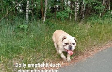 Ferienzimmer Waldzauber - Foto 35