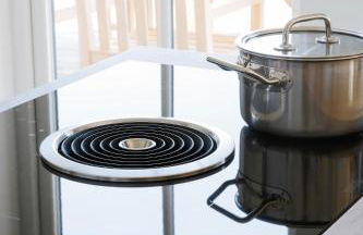 Reetdorf Geltinger Birk Künstlerkate Wildpferd - Foto 10