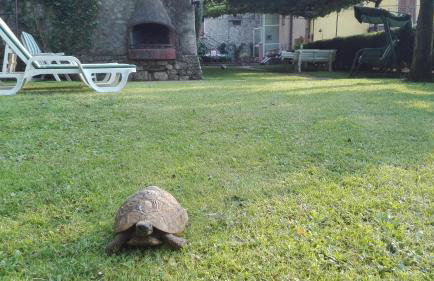 Corte Faliva - Foto 7