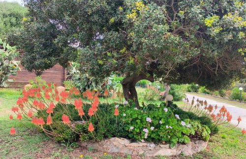 Villa La Liccia Misia - Foto 11