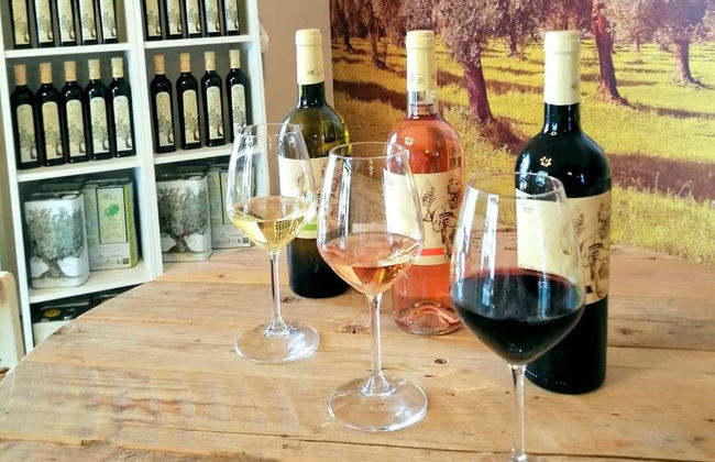 Dégustation de produits locaux à Polignano a Mare - Photo 3