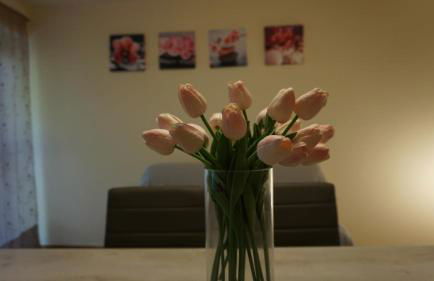 SCAPPO IN UMBRIA, la casa di Giuliana - Foto 16