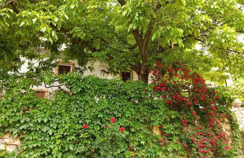 Cortijo Ramon Petra - Foto 49