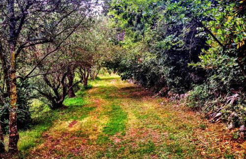 Gite La Sempesserre - Foto 15