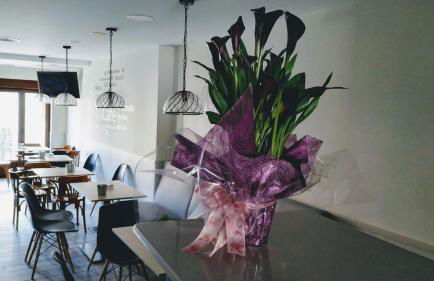 Apartamentos Terraza Ega - Foto 64