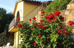 Sunset Hill - Tuscany - Villa & private Pool - Foto 36