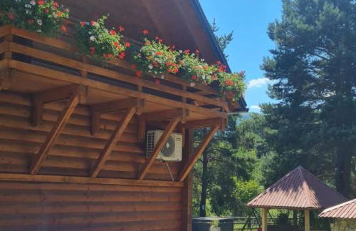 Apartments Plitvice forest - Two Bedroom Apartment with Terrace - Foto 18