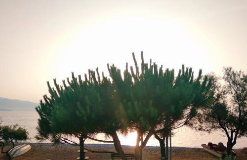 Seaside House - Foto 24