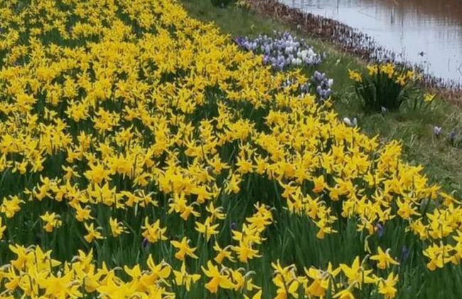 Villa Strandtijden - Foto 10