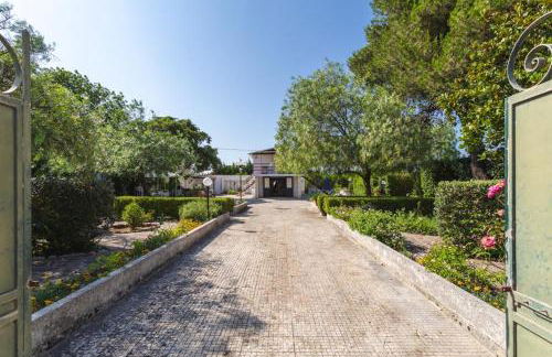 Midori-an 緑庵 - The Garden - Foto 6