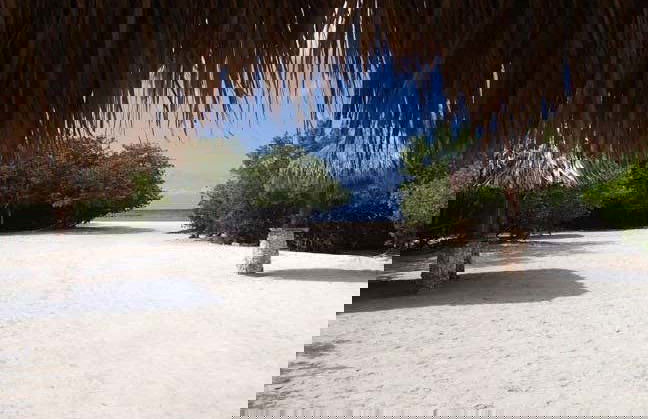 South Aruba Guided Tour - Foto 2