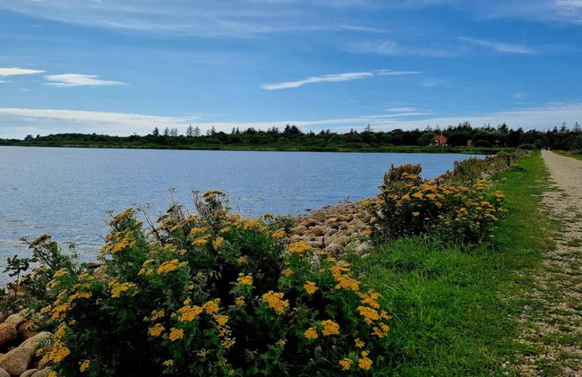 4 Star Holiday Home in Henne - Foto 41