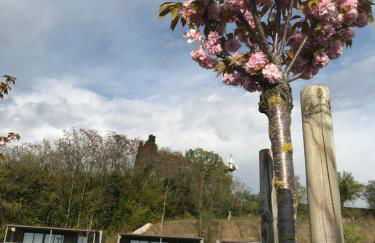 Agricamping Al grappolo diVino - Foto 6